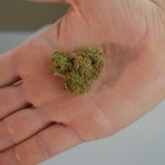 Weed store in Sweden image_140.jpg