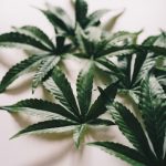 Buy the weed in Monaco image_150.jpg