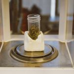 Buy THC vape in Catania image_188.jpg