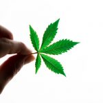 Cannabis store in Birmingham image_202.jpg