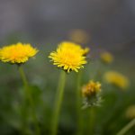 420 store in Pozna image_240.jpg