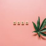 Cannabis shop in Nuremberg image_247.jpg