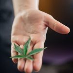 Weed delivery in Estonia image_259.jpg