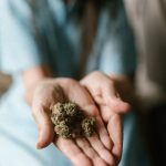 Buy the weed in Copenhagen image_394.jpg