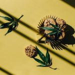 Weed delivery in Bilbao image_417.jpg