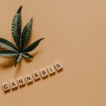 420 shop in Marbella image_438.jpg