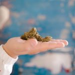 Weed store in Gent image_484.jpg