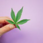 Marijuana shop in Helsinki image_521.jpg