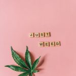 Marijuana store in London image_541.jpg