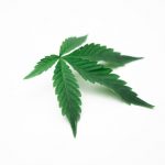 420 shop in Oxford image_546.jpg