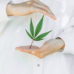 Buy marijuana in Madrid image_547.jpg