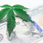 Buy marijuana in Dortmund image_550.jpg