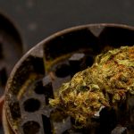 Weed delivery in Dortmund image_701.jpg