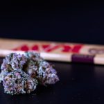 Marijuana delivery in Frankfurt image_721.jpg