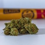 Buy cannabis in Paris image_770.jpg