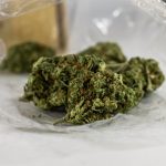 THC weed in Estonia image_788.jpg