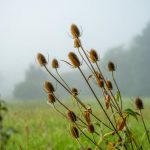 Weed store in Alicante image_843.jpg