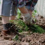 THC vapes delivery in Karlovy Vary image_911.jpg