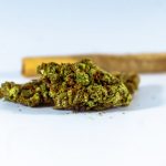 420 shop in Poland image_915.jpg